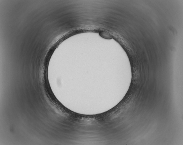 X0000111430440200908241124