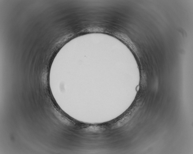 X0000111430441200908241124