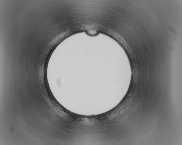 X0000111430442200908241124