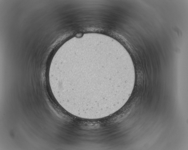 X0000111430443200908241124