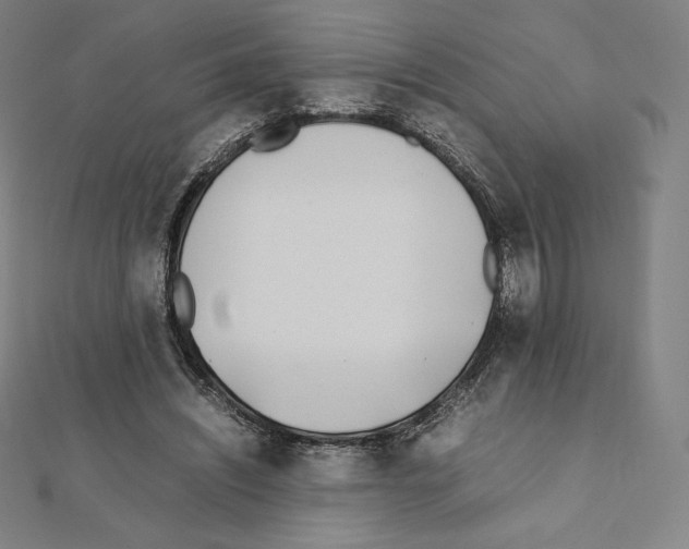 X0000111430444200908241124