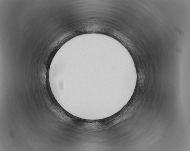 X0000111430446200908241124