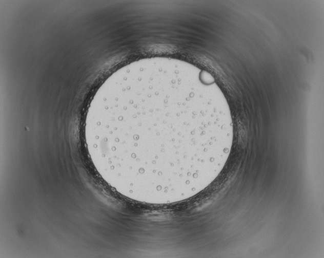 X0000111430447200908241124