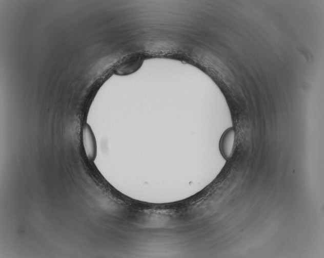 X0000111430448200908241124