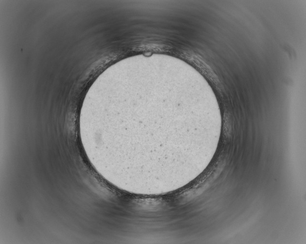 X0000111430449200908241124