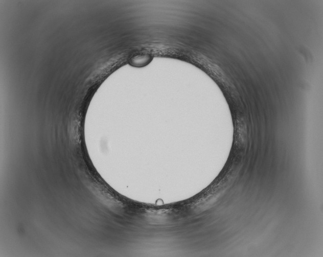 X0000111430450200908241125