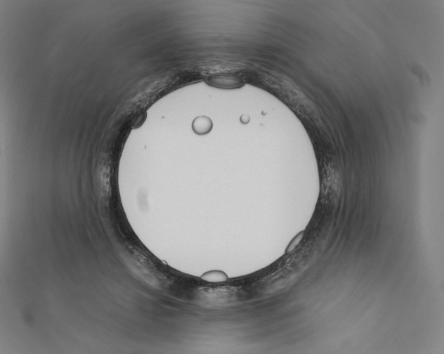 X0000111430452200908241125