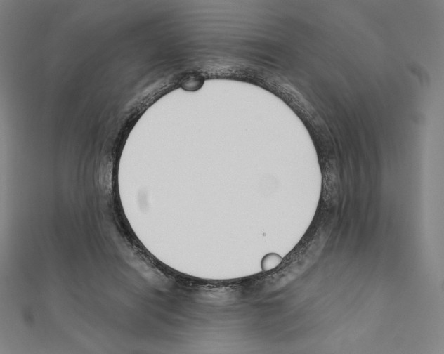 X0000111430454200908241125