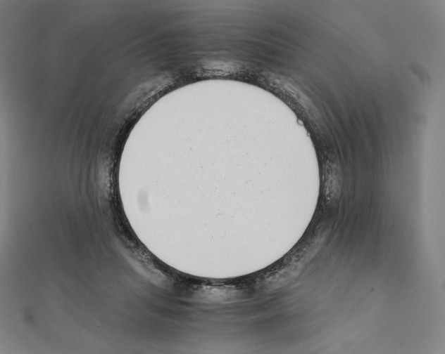 X0000111430455200908241125