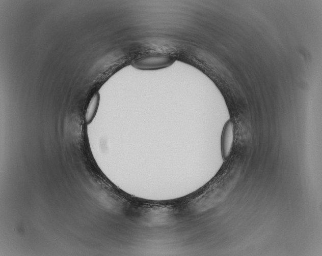 X0000111430456200908241125