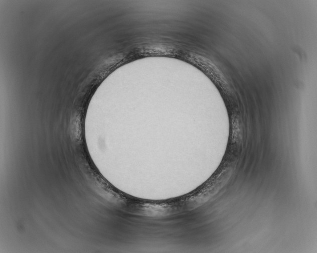 X0000111430457200908241125