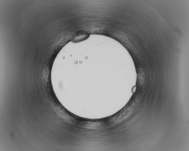 X0000111430458200908241125