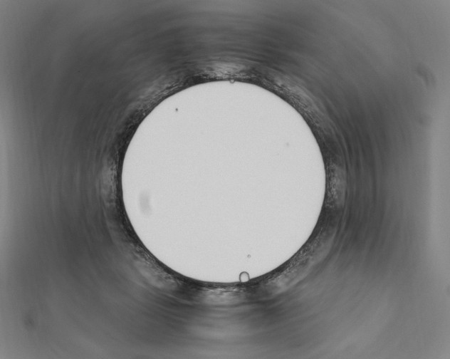 X0000111430461200908241125