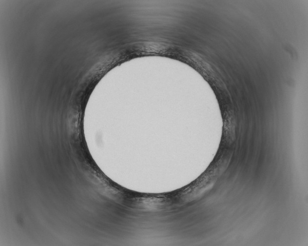 X0000111430462200908241125