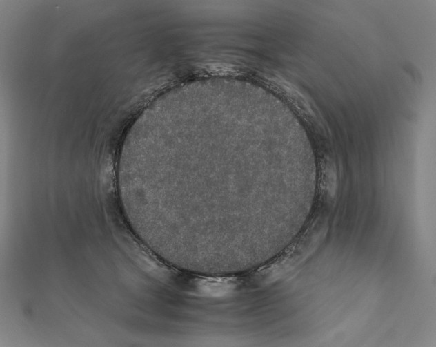 X0000111430465200908241125