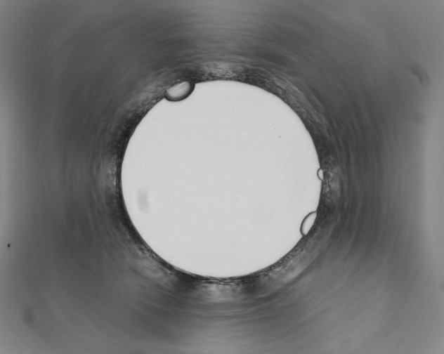 X0000111430466200908241125
