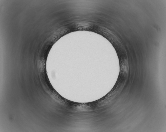 X0000111430468200908241125