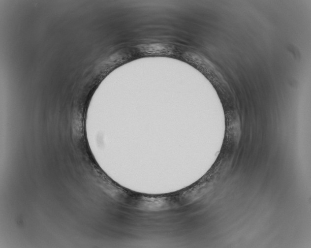 X0000111430469200908241125