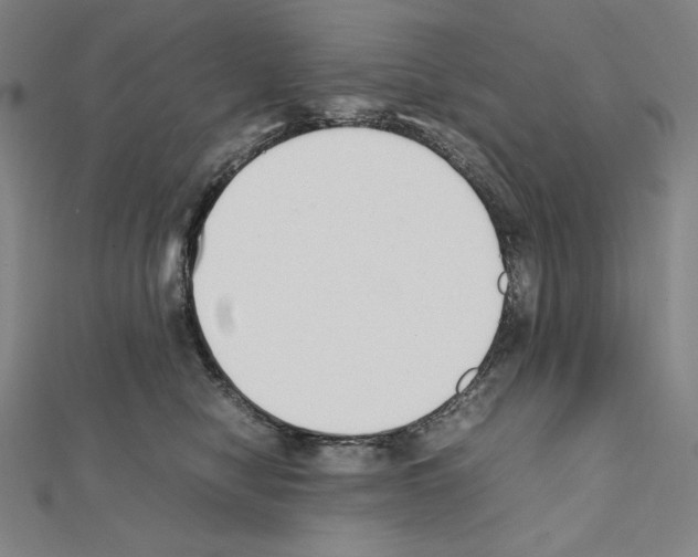 X0000111430470200908241125