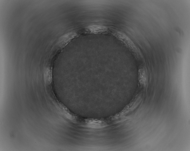 X0000111430471200908241125