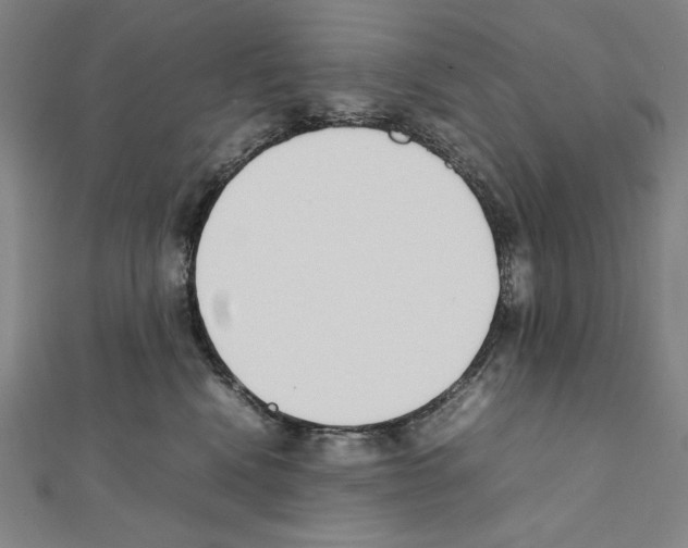X0000111430472200908241125