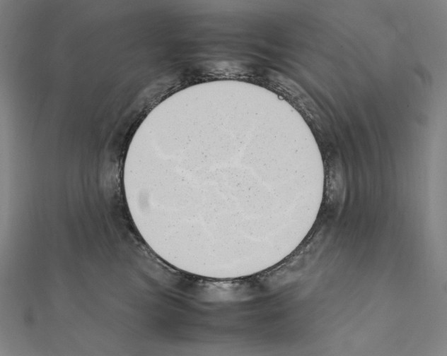 X0000111430473200908241125