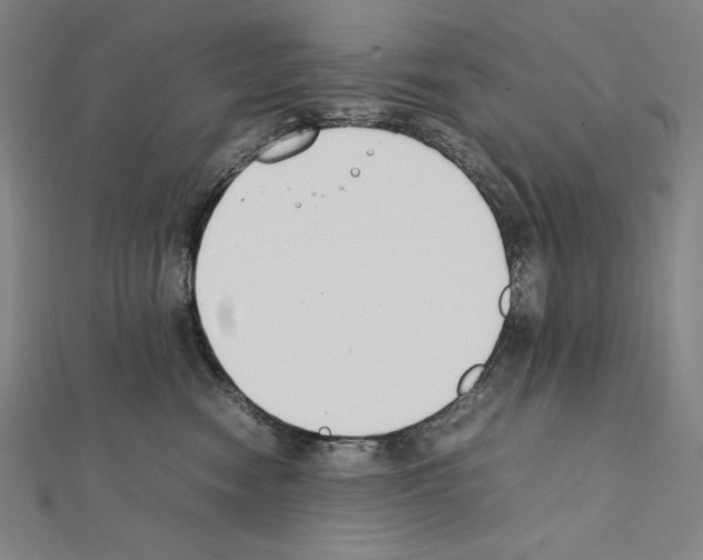 X0000111430474200908241125
