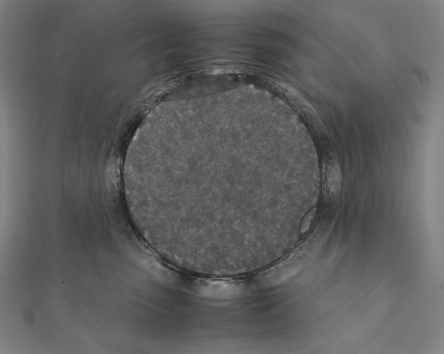 X0000111430475200908241125