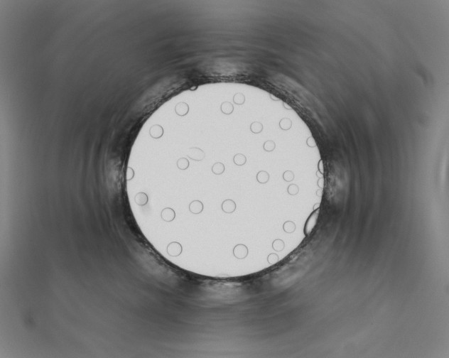 X0000111430476200908241125