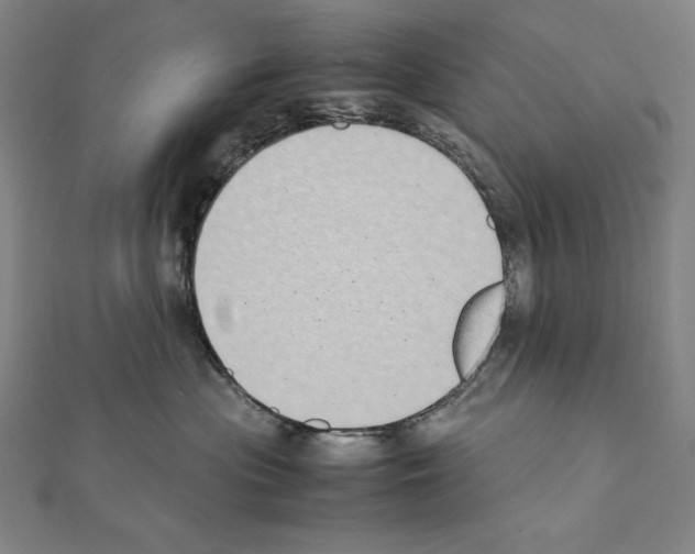 X0000111430477200908241125