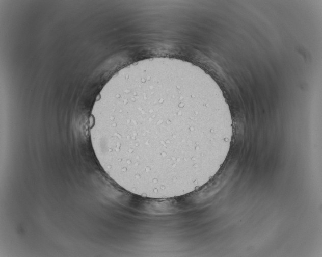 X0000111430479200908241125