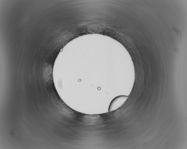 X0000111430480200908241125