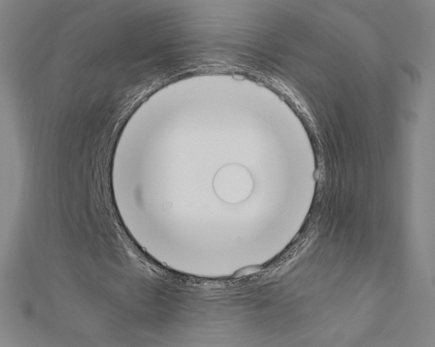 X0000111430481200908241124