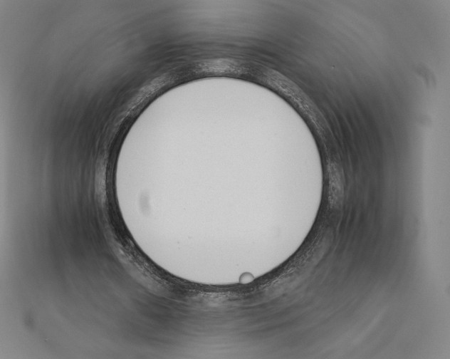 X0000111430482200908241124