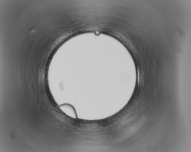 X0000111430483200908241124