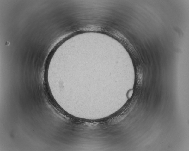 X0000111430484200908241124