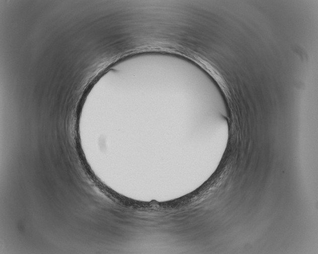 X0000111430485200908241124