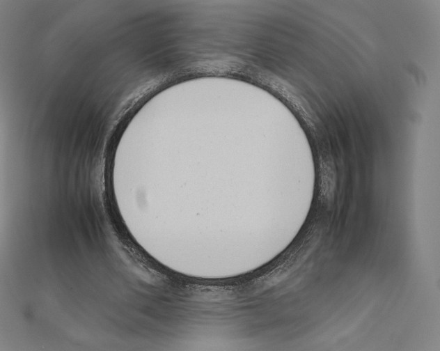 X0000111430486200908241124
