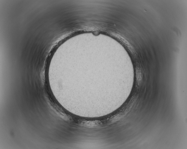 X0000111430488200908241124