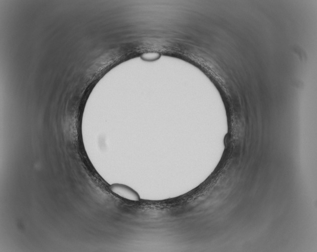 X0000111430489200908241124