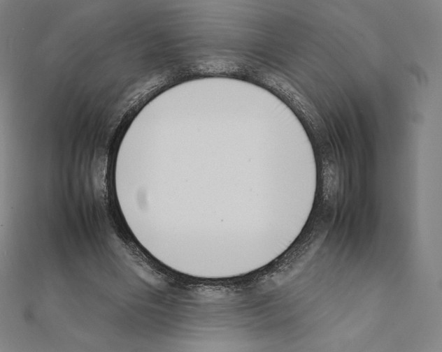 X0000111430490200908241124