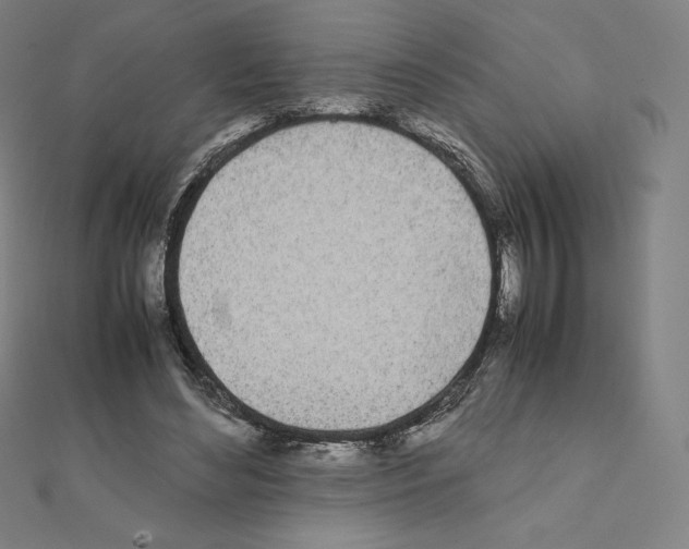 X0000111430492200908241124