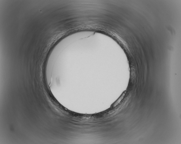 X0000111430493200908241124