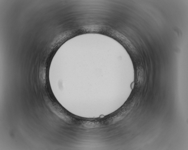 X0000111430494200908241124