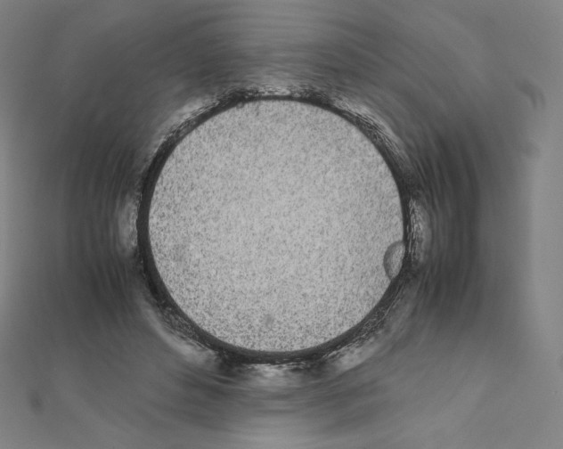 X0000111430496200908241124