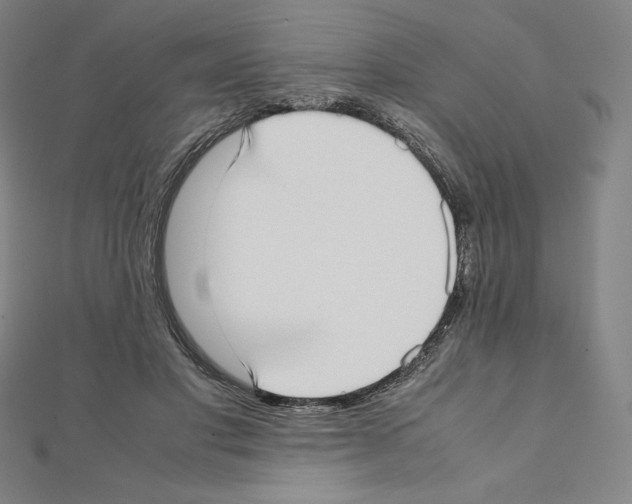 X0000111430501200908241124