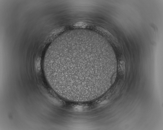 X0000111430504200908241124