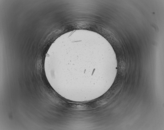 X0000111430506200908241124