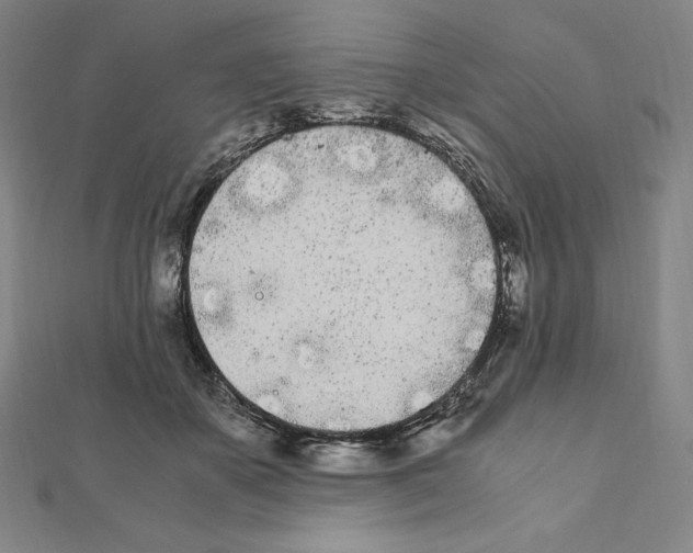 X0000111430507200908241124