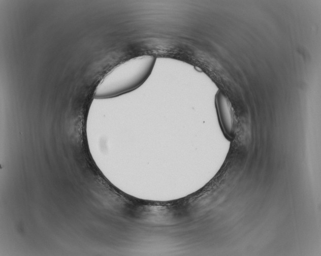 X0000111430509200908241124